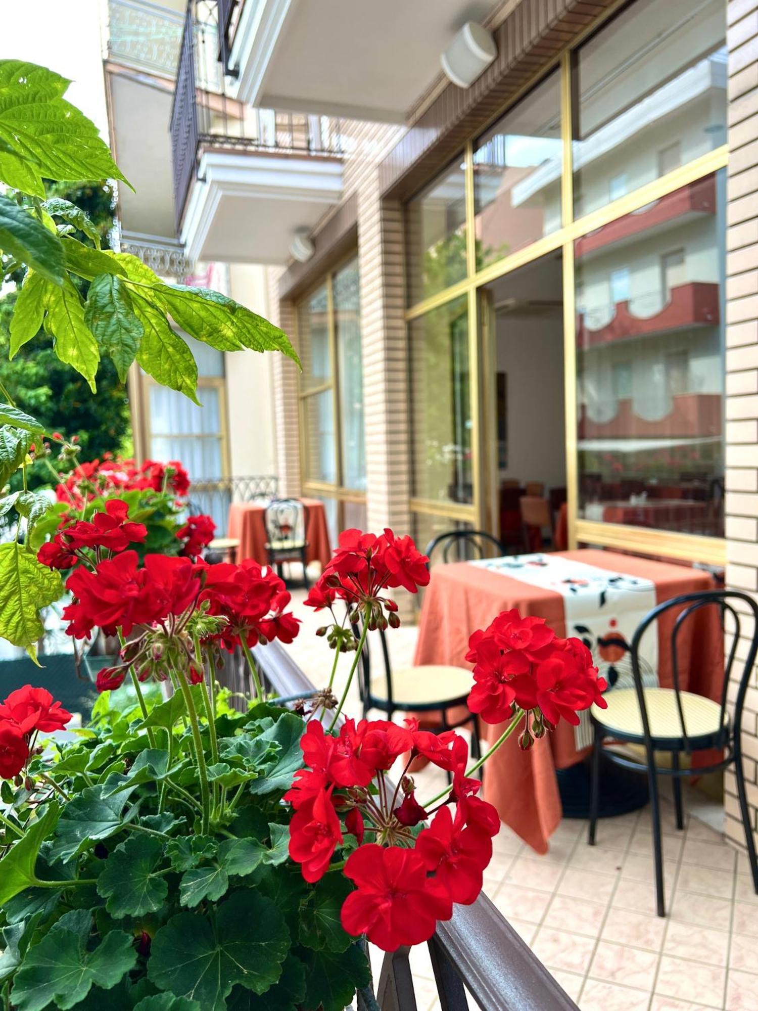 Hotel B&B Ardea Ρίμινι Εξωτερικό φωτογραφία