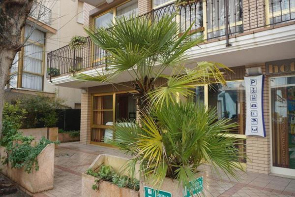 Hotel B&B Ardea Ρίμινι Εξωτερικό φωτογραφία